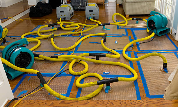 Professional Crawl Space Water Removal technician working in Hometown, PA